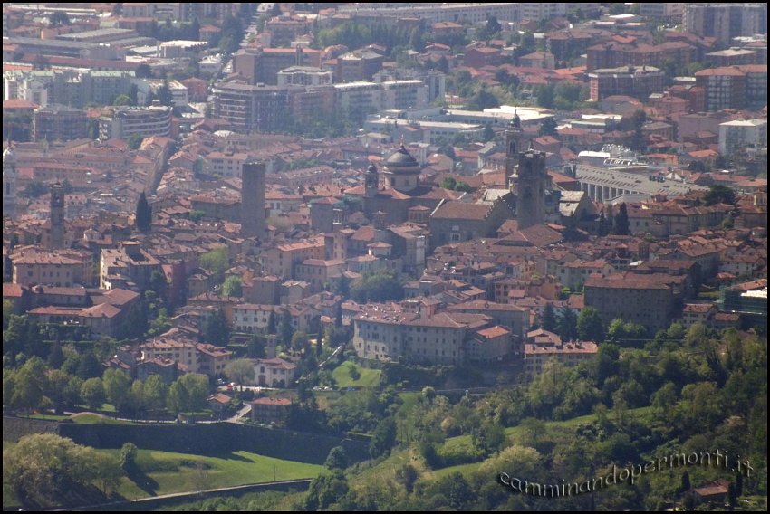 31 Bergamo alta.JPG